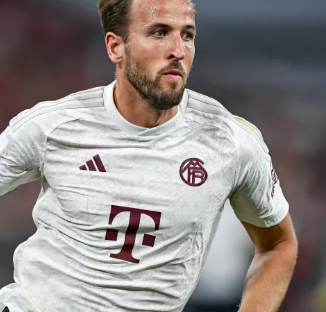 十周年活动 十周年活动