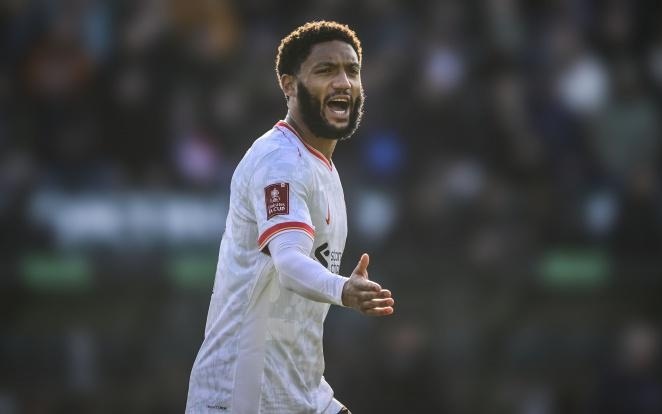 还特别推出 还特别推出